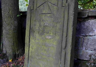 Šimůnek Tomáš, 2016