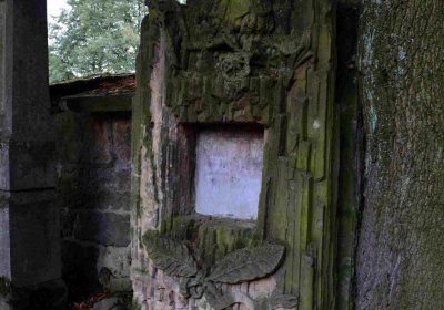 Šimůnek Tomáš, 2016