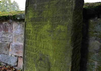 Šimůnek Tomáš, 2016