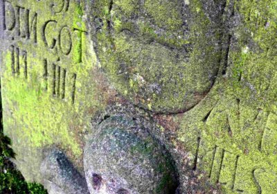 Šimůnek Tomáš, 2016