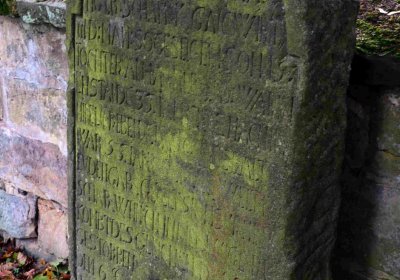 Šimůnek Tomáš, 2016