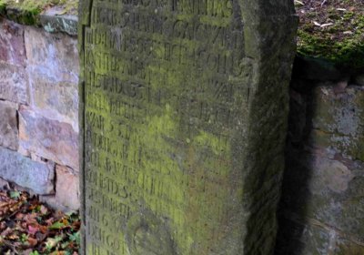 Šimůnek Tomáš, 2016