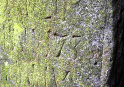 Šimůnek Tomáš, 2016