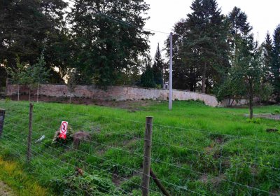 Šimůnek Tomáš, 2016