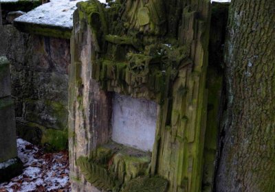 Šimůnek Tomáš, 2015