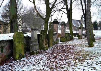 Šimůnek Tomáš, 2015