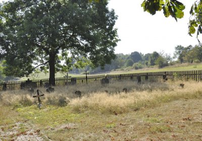 Sedláček Hugo, 2016