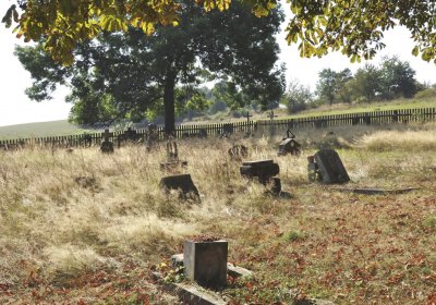 Sedláček Hugo, 2016