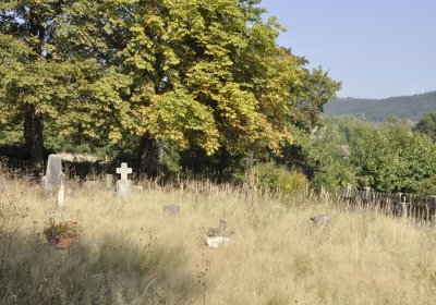 Sedláček Hugo, 2016