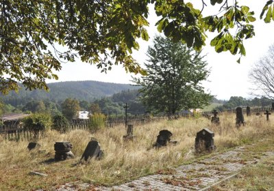 Sedláček Hugo, 2016