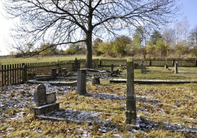 Sedláček Hugo, 2016