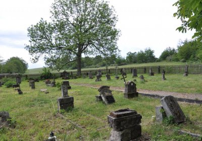 Petlery, Omnium, 2020