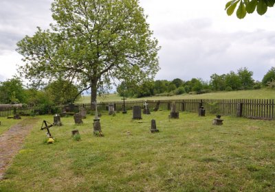 Petlery, Omnium, 2020