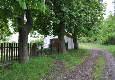 Petlery, Omnium, 2020