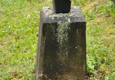 Petlery, Omnium, 2020