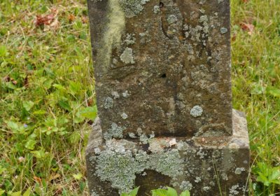 Petlery, Omnium, 2020