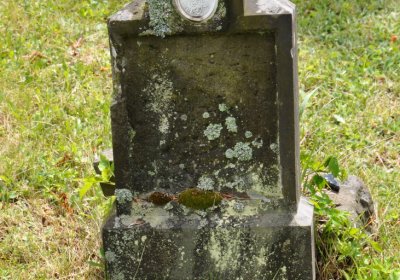 Petlery, Omnium, 2020