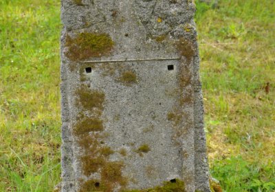 Petlery, Omnium, 2020