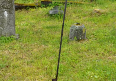 Petlery, Omnium, 2020