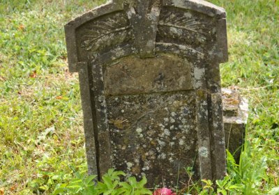 Petlery, Omnium, 2020