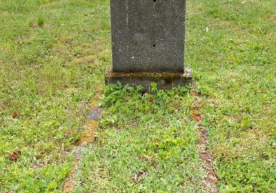 Petlery, Omnium, 2020