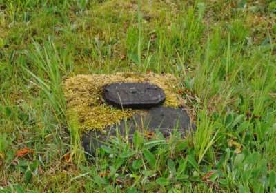 Petlery, Omnium, 2020