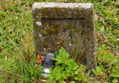 Petlery, Omnium, 2020