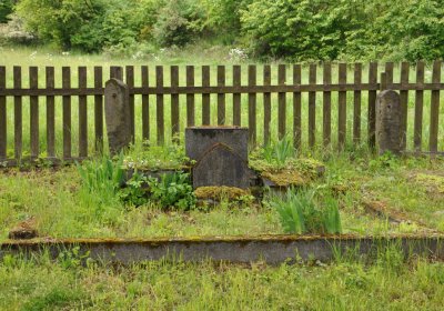 Petlery, Omnium, 2020