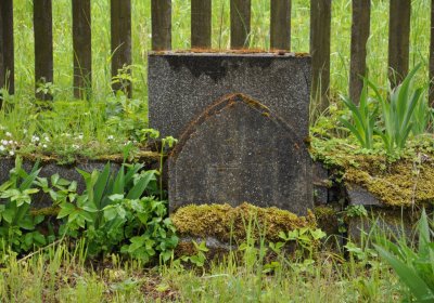 Petlery, Omnium, 2020