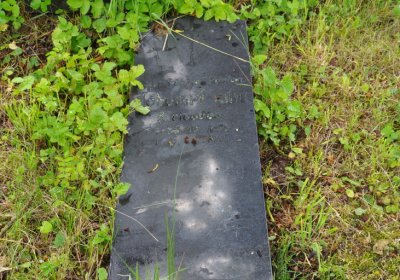 Petlery, Omnium, 2020