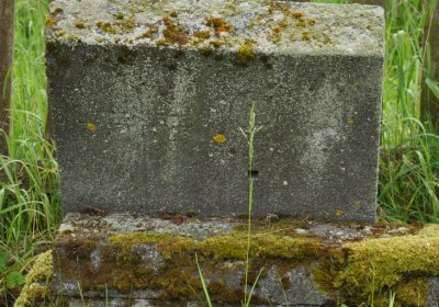 Petlery, Omnium, 2020