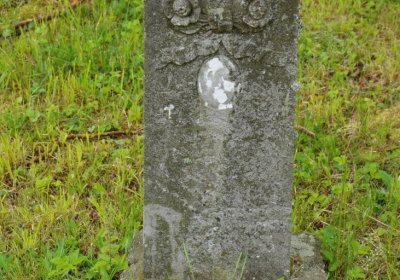 Petlery, Omnium, 2020