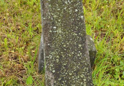 Petlery, Omnium, 2020