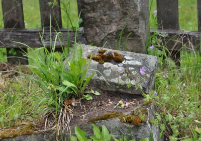 Petlery, Omnium, 2020