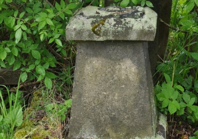 Petlery, Omnium, 2020