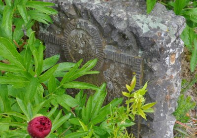 Petlery, Omnium, 2020