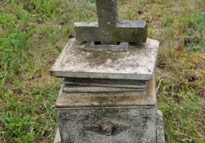 Petlery, Omnium, 2020