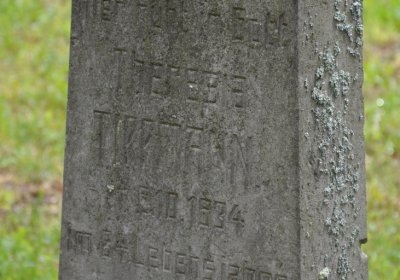 Petlery, Omnium, 2020