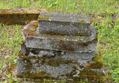 Petlery, Omnium, 2020