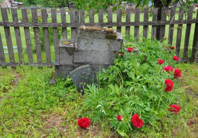 Petlery, Omnium, 2020