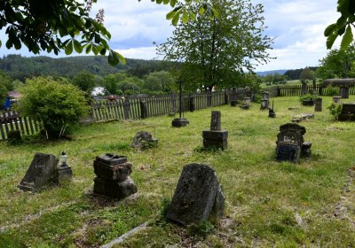 Petlery, Omnium, 2020