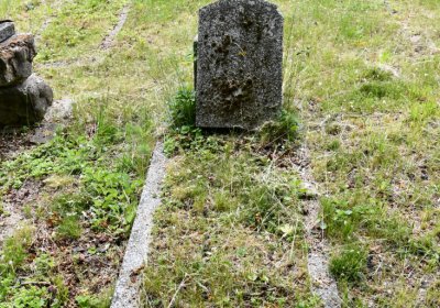 Petlery, Omnium, 2020