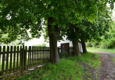 Petlery, Omnium, 2020