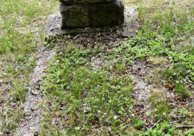 Petlery, Omnium, 2020