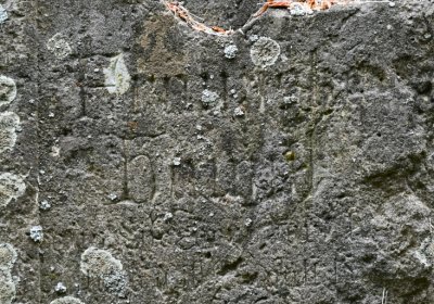 Petlery, Omnium, 2020