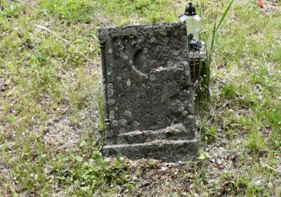 Petlery, Omnium, 2020