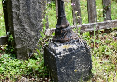 Petlery, Omnium, 2020