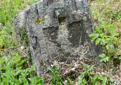 Petlery, Omnium, 2020