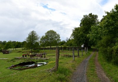 Petlery, Omnium, 2020