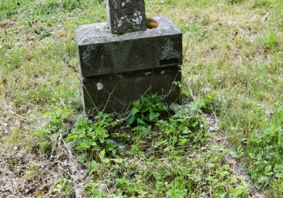 Petlery, Omnium, 2020